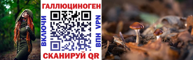 Псилоцибиновые грибы MAGIC MUSHROOMS  цены наркотик  Дальнереченск 